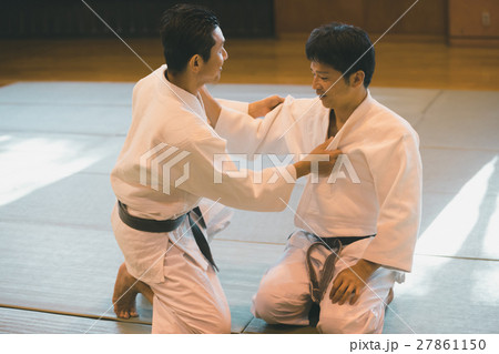 martial artist martial artist 27861150