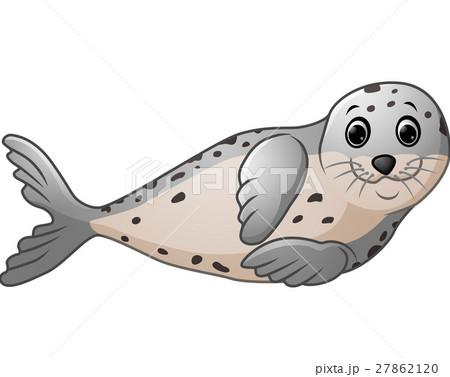 Cute seal cartoon 27862120