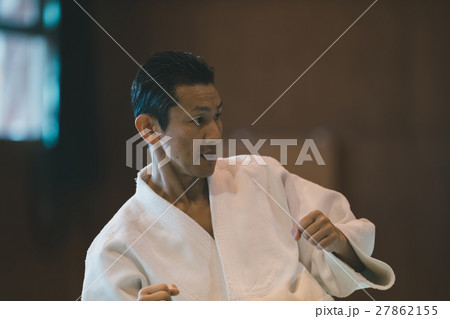 martial artist martial artist 27862155