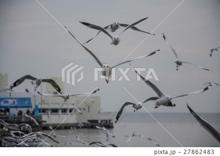 sea at twilight ,Bangpu recreation center,Thailand 27862483