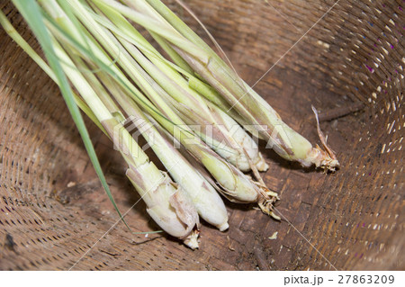 lemon grass in basket lemon grass in basket 27863209