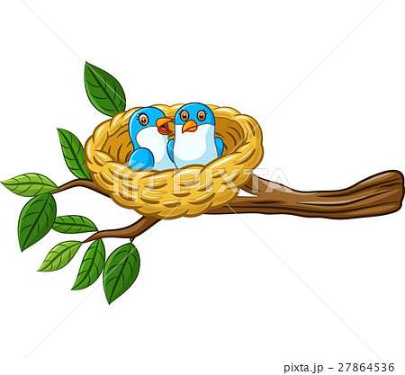 Bird in the nest isolated on white background - Stock Illustration  [27864536] - PIXTA