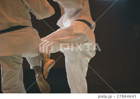 martial artist martial artist 27864645