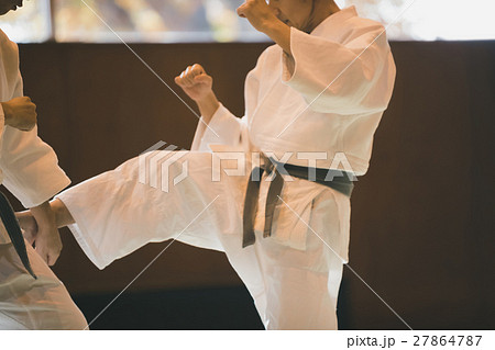 martial artist martial artist 27864787