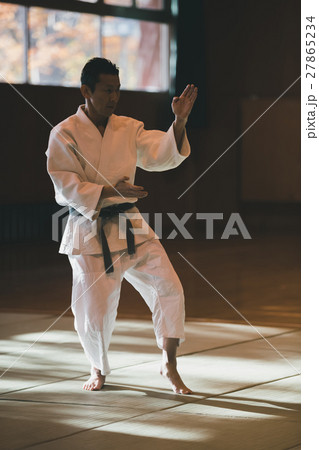 martial artist 27865234