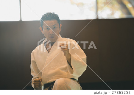 martial artist martial artist 27865252