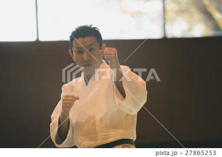 martial artist martial artist 27865253