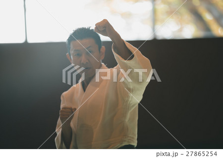 martial artist 27865254