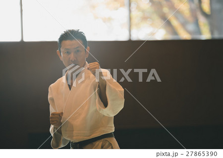 martial artist 27865390