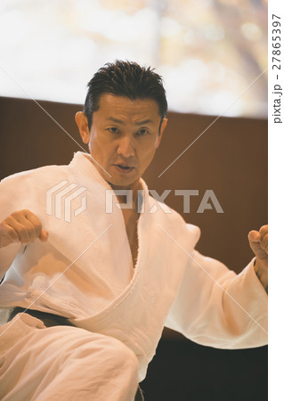 martial artist martial artist 27865397