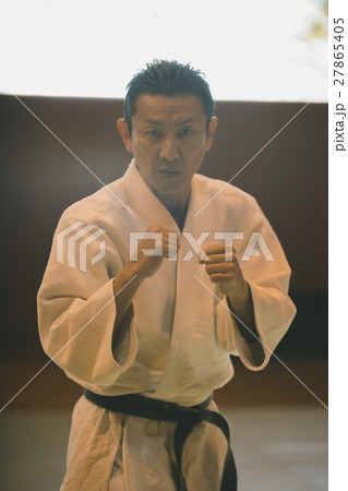 martial artist martial artist 27865405
