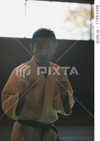 martial artist martial artist 27865406