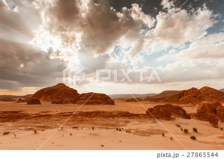 Gold arid desert landscape Sinai, Egypt 27865544