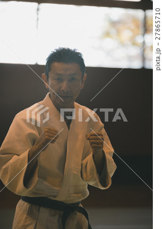 martial artist martial artist 27865710