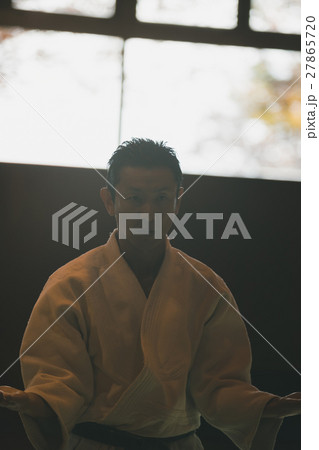 martial artist martial artist 27865720