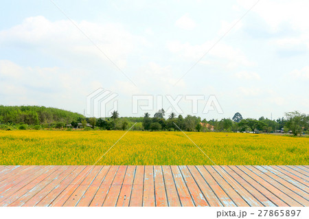 Balcony wood in front of the yellow flower field 27865897