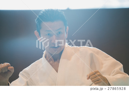 martial artist martial artist 27865928