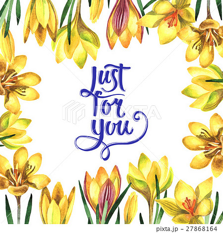 Wildflower crocuses flower frame in a watercolor 27868164