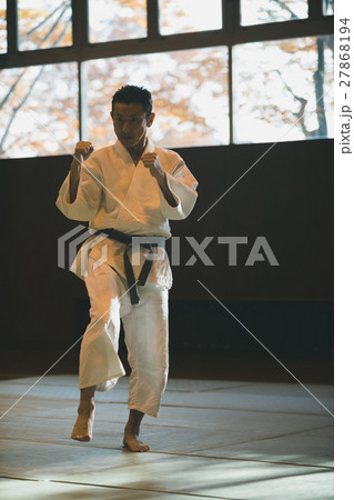 martial artist 27868194
