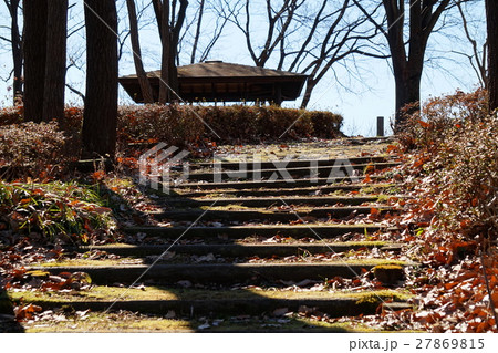 公園の階段 公園の階段 27869815