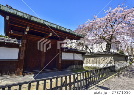 有栖川宮旧邸 枝垂れ桜 有栖川宮旧邸 枝垂れ桜 27871050