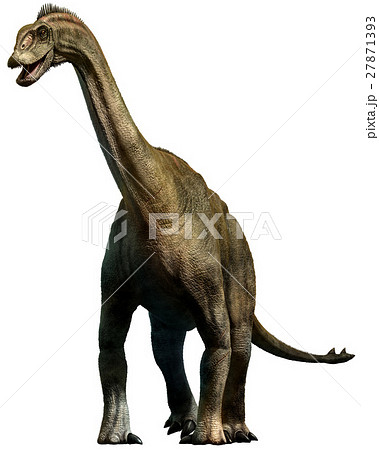 Shunosaurus Shunosaurus 27871393