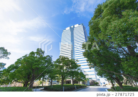 オフィス街の高層ビルと緑 オフィス街の高層ビルと緑 27871725