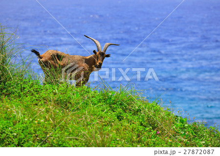居心地のよい 温まる 暖か 27872087
