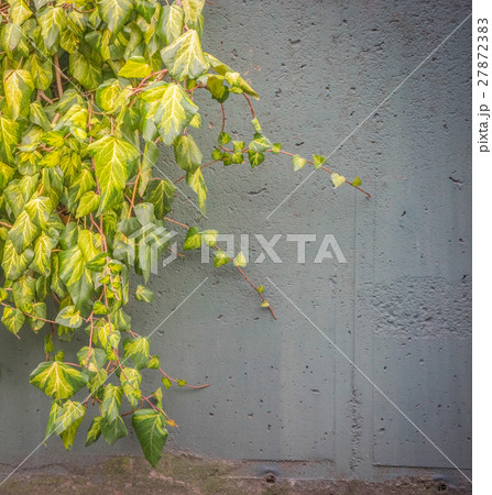 Green plants growing over a stone wall Green plants growing over a stone wall 27872383