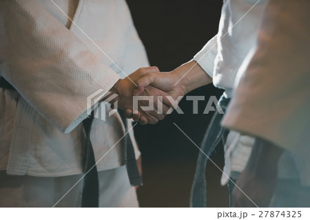 martial artist martial artist 27874325