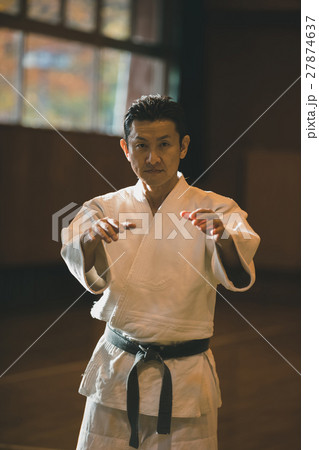 martial artist martial artist 27874637