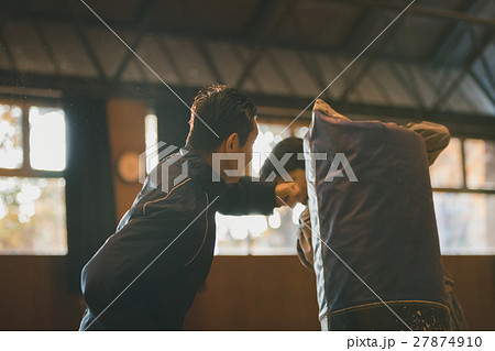 martial artist martial artist 27874910