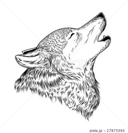 Illustration Of A Howling Wolfのイラスト素材