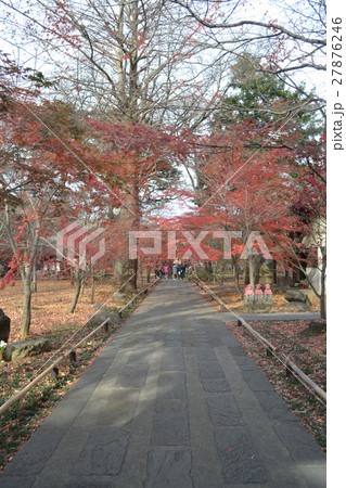 九品仏の紅葉 27876246