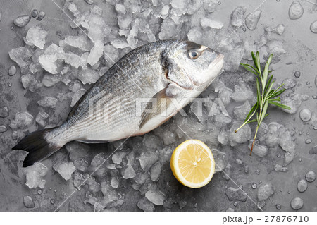 Fresh gilthead bream or dorado 27876710