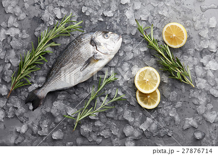 Fresh gilthead bream or dorado 27876714