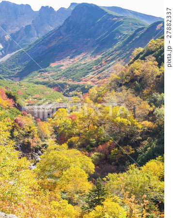 紅葉の木々と冠雪の山 27882337