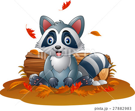 Cartoon raccoon in the autumn weather Cartoon raccoon in the autumn weather 27882983