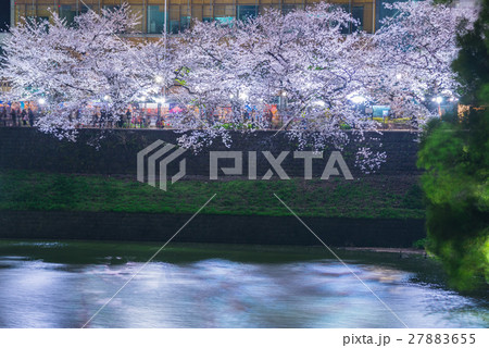 Cherry blossoms in Tokyo, Japan Cherry blossoms in Tokyo, Japan 27883655