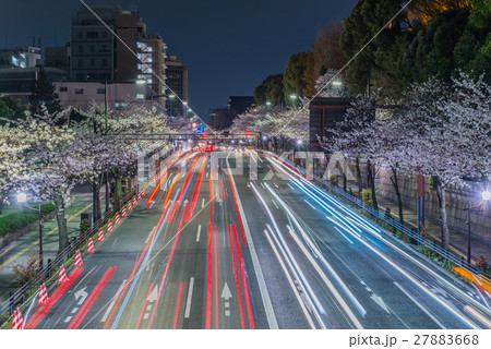Cherry blossoms street at night 27883668