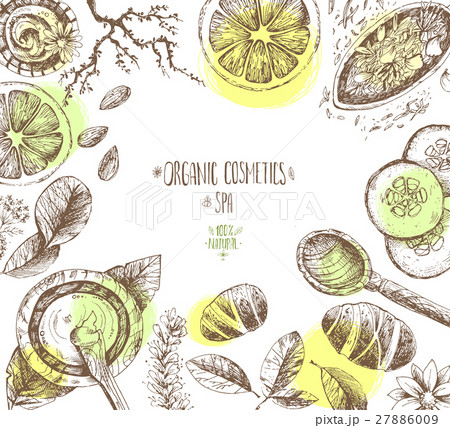 Hand drawn vector frame background, organic 27886009