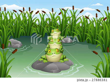 Cartoon frog stacked in the pond 27886381