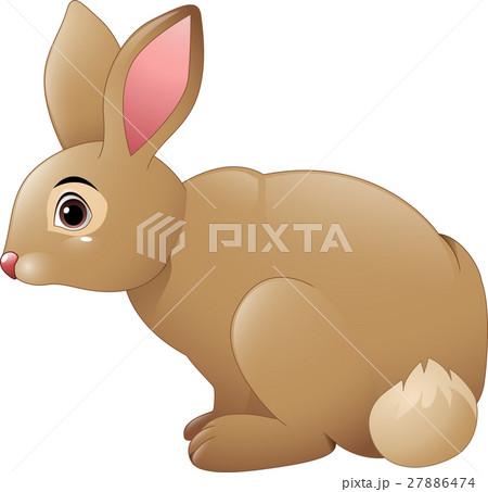 Cute rabbit cartoon 27886474