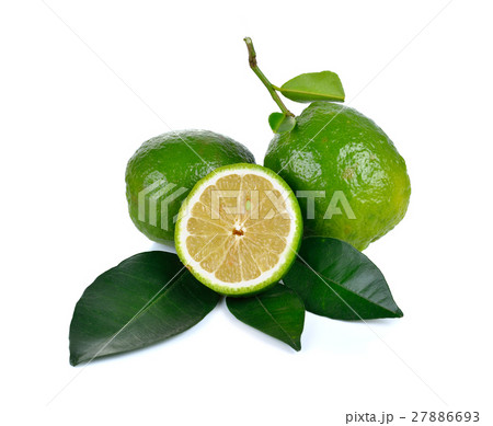 Citrus medica   Linn on white background 27886693