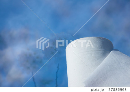 トイレットペーパー 桜 トイレットペーパー 桜 27886963