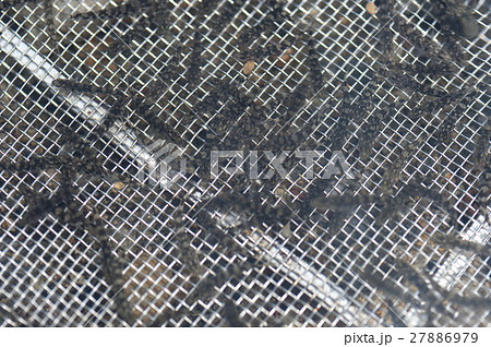 うろり漁 うろり漁 27886979