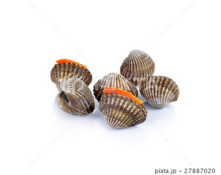 fresh cockles seafood on white background 27887020