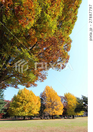 光が丘公園 光が丘公園 27887797