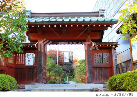 鎌倉 大巧寺 鎌倉 大巧寺 27887799