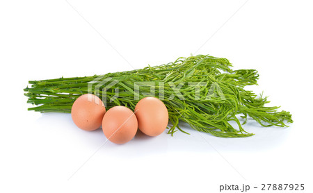 Climbing Wattle, Acacia, Cha-om with eggs 27887925